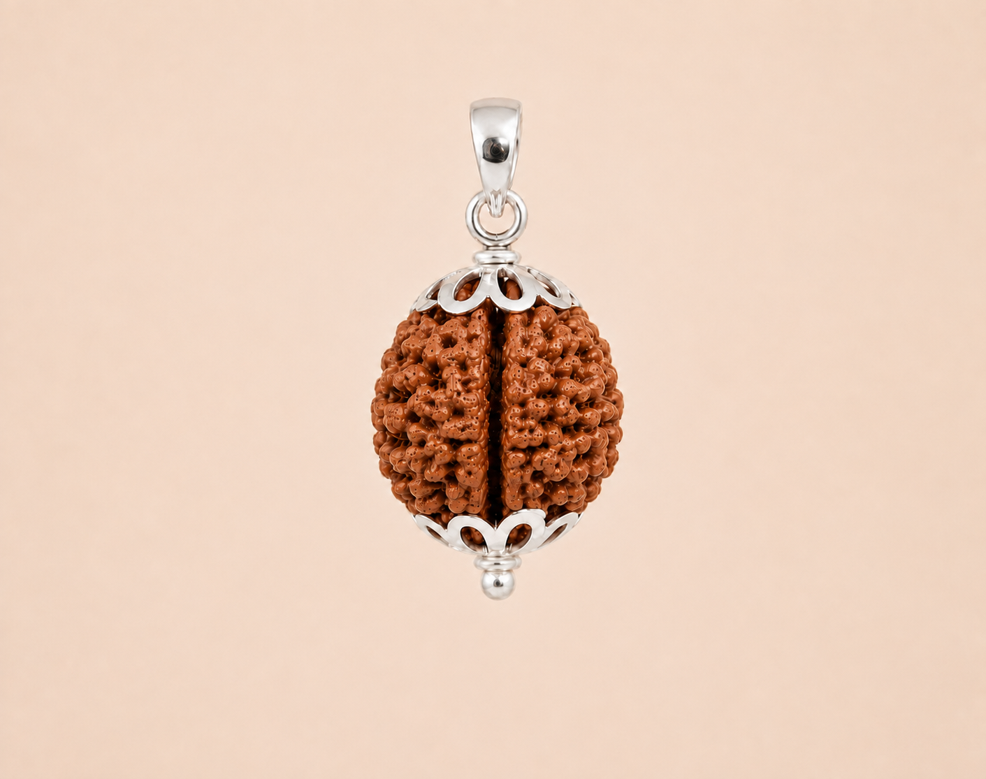 2 Mukhi Rudraksha (Nepal Origin)